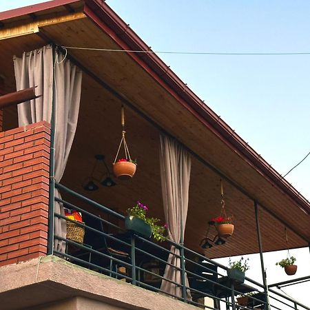 Guest House Mtisubani Szenaki Kültér fotó